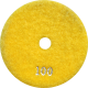 АГШК - алмазные гибкие шлифовальные круги "универсальные" d100 P100